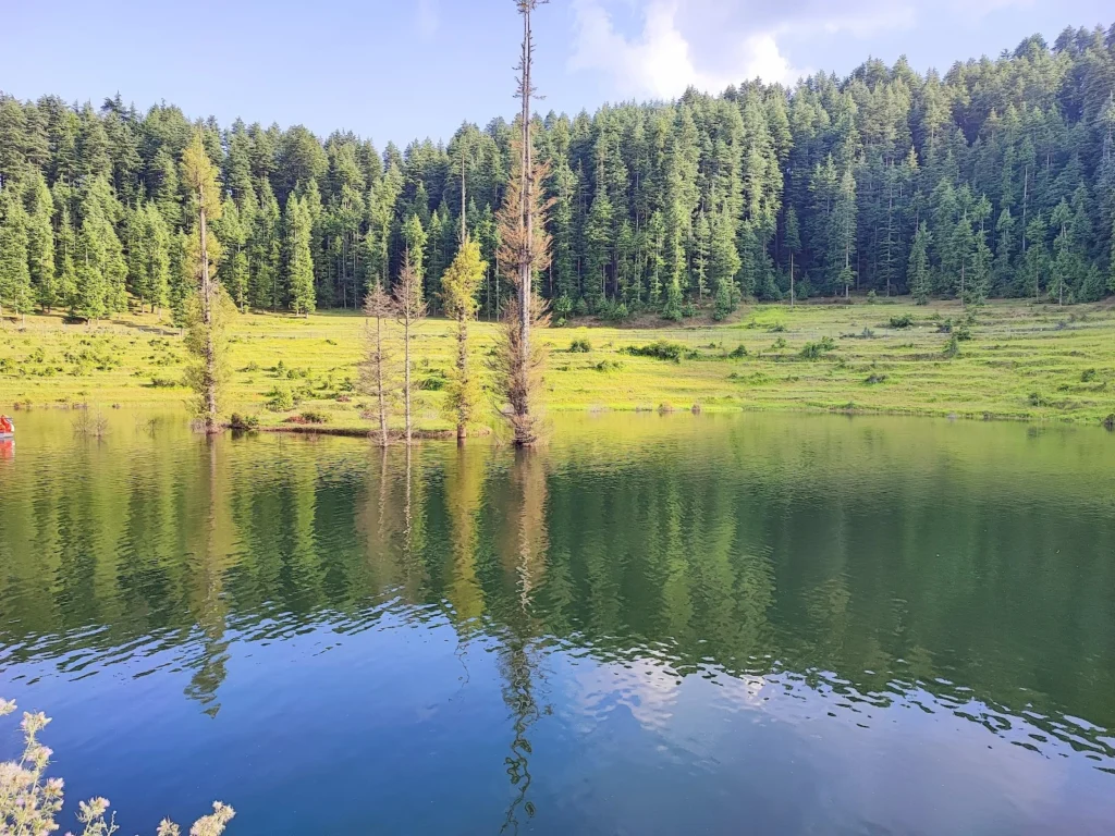 Lush green nature trails and pine forests surrounding Ethnic Trail, a peaceful heritage homestay in Thapaliya Mehragaon near Naukuchiatal and Bhimtal.